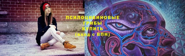 шишки Богданович